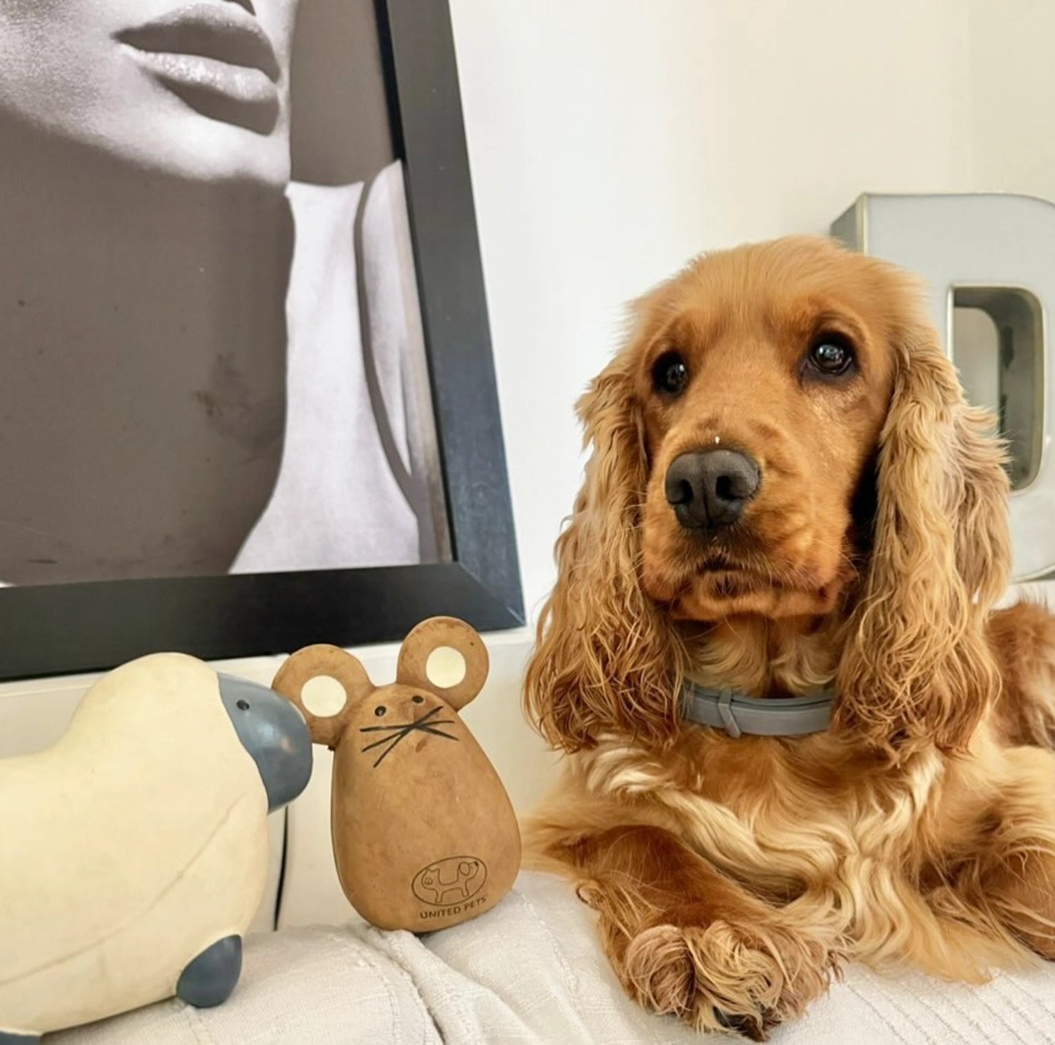 Jouet pour chien en latex pouic Souris