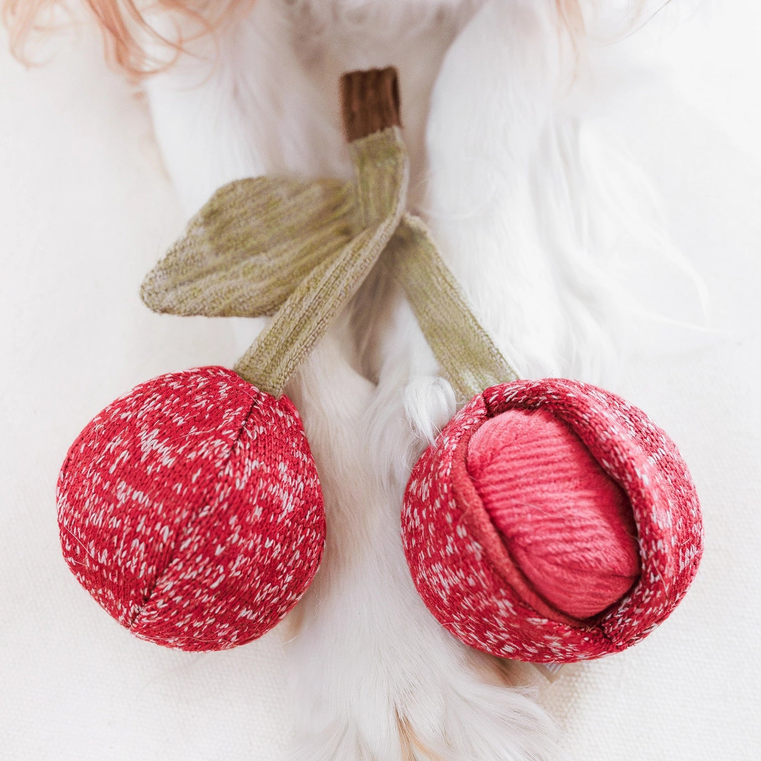 Jouet de fouille pour chien cerise lambwolf