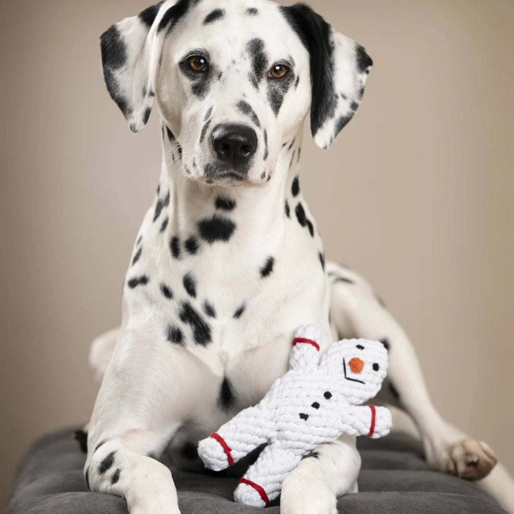 Jouet de noel pour chien solide