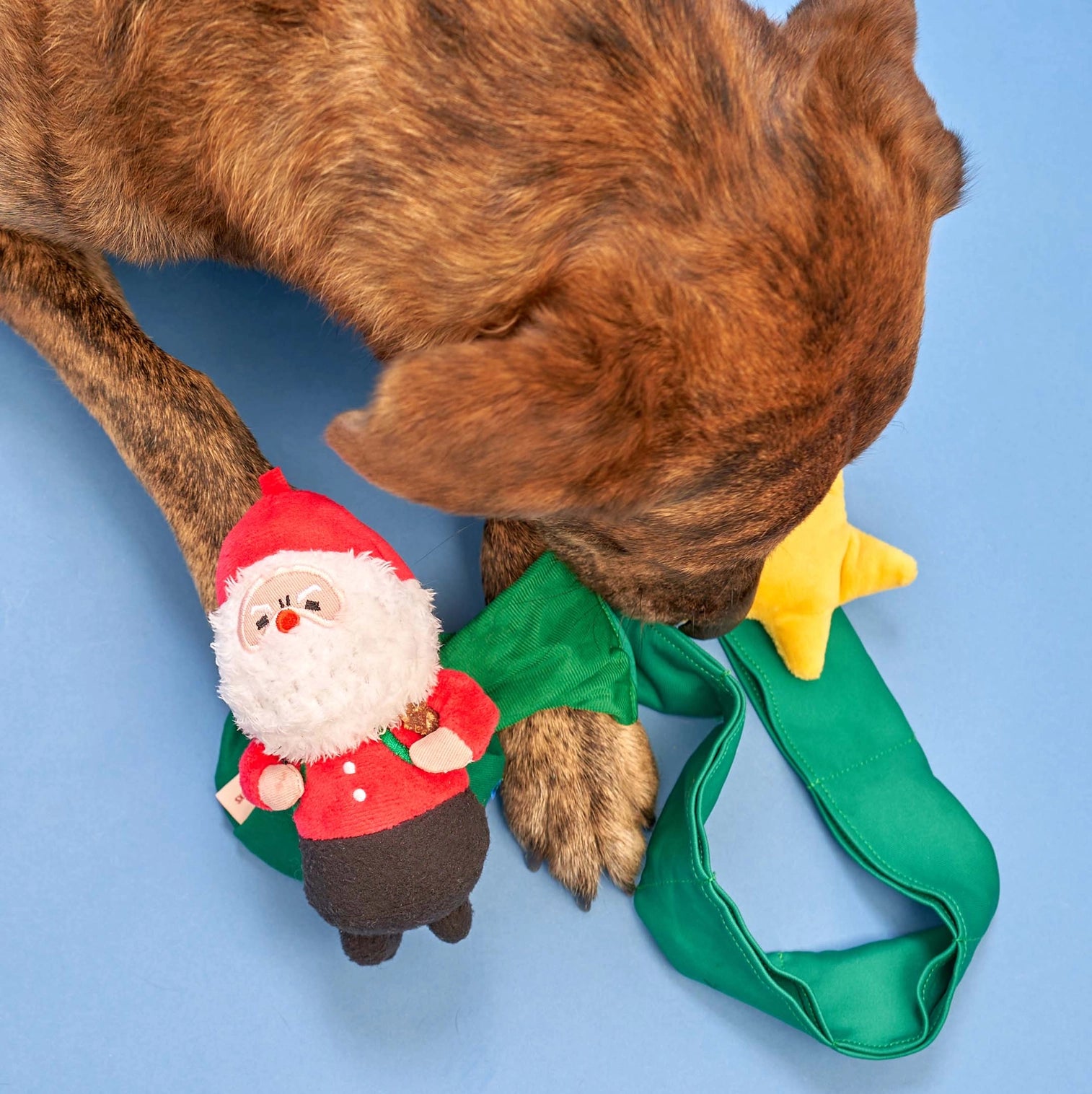 Peluche père noel pour chien