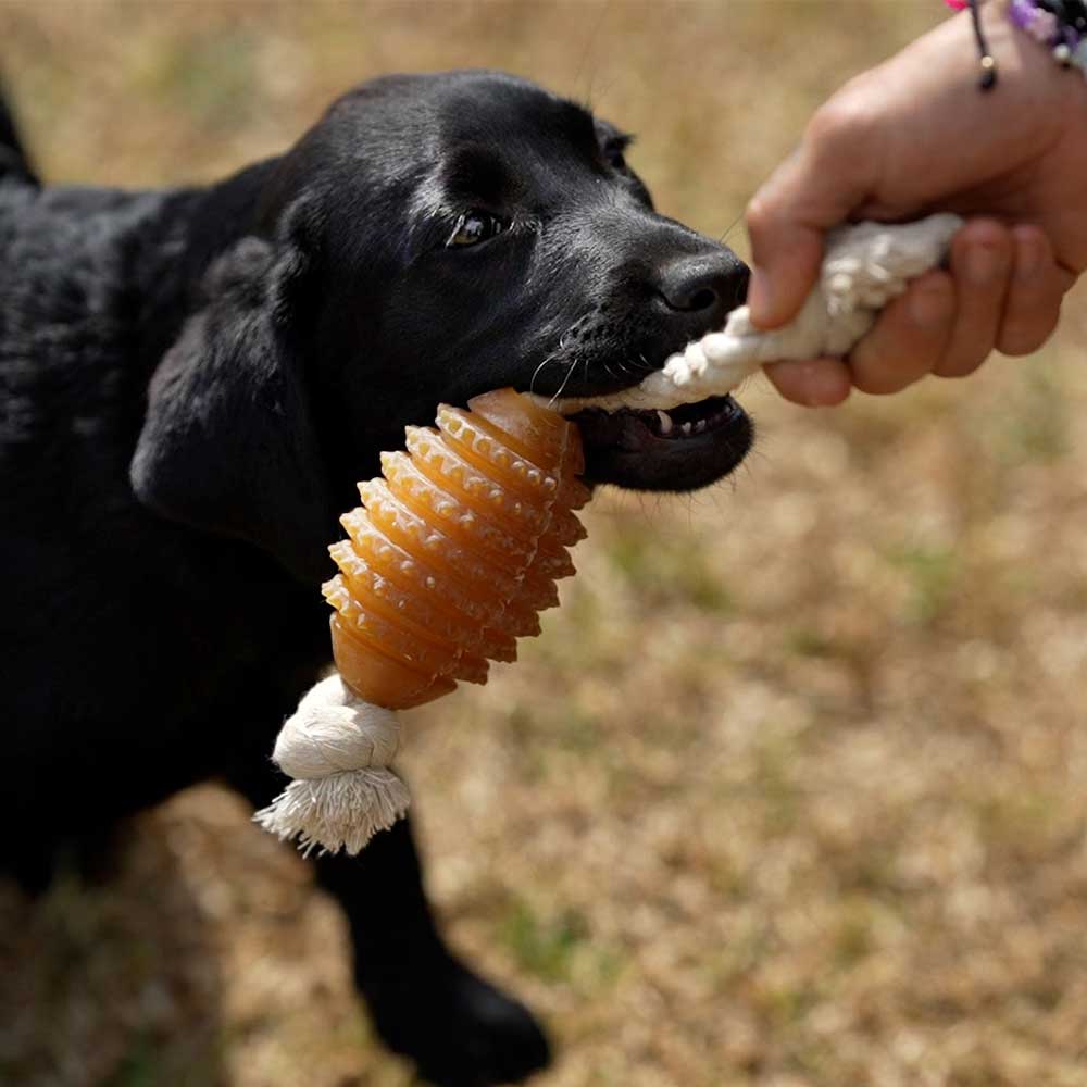 Jouet résistant pour chien corde et résine