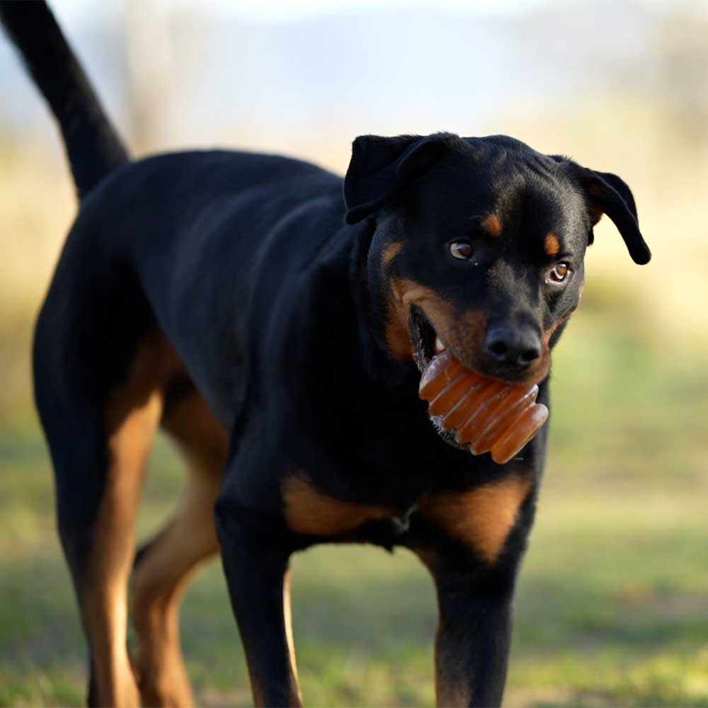 Jouet en résine à macher Jumpy Dmpty Small