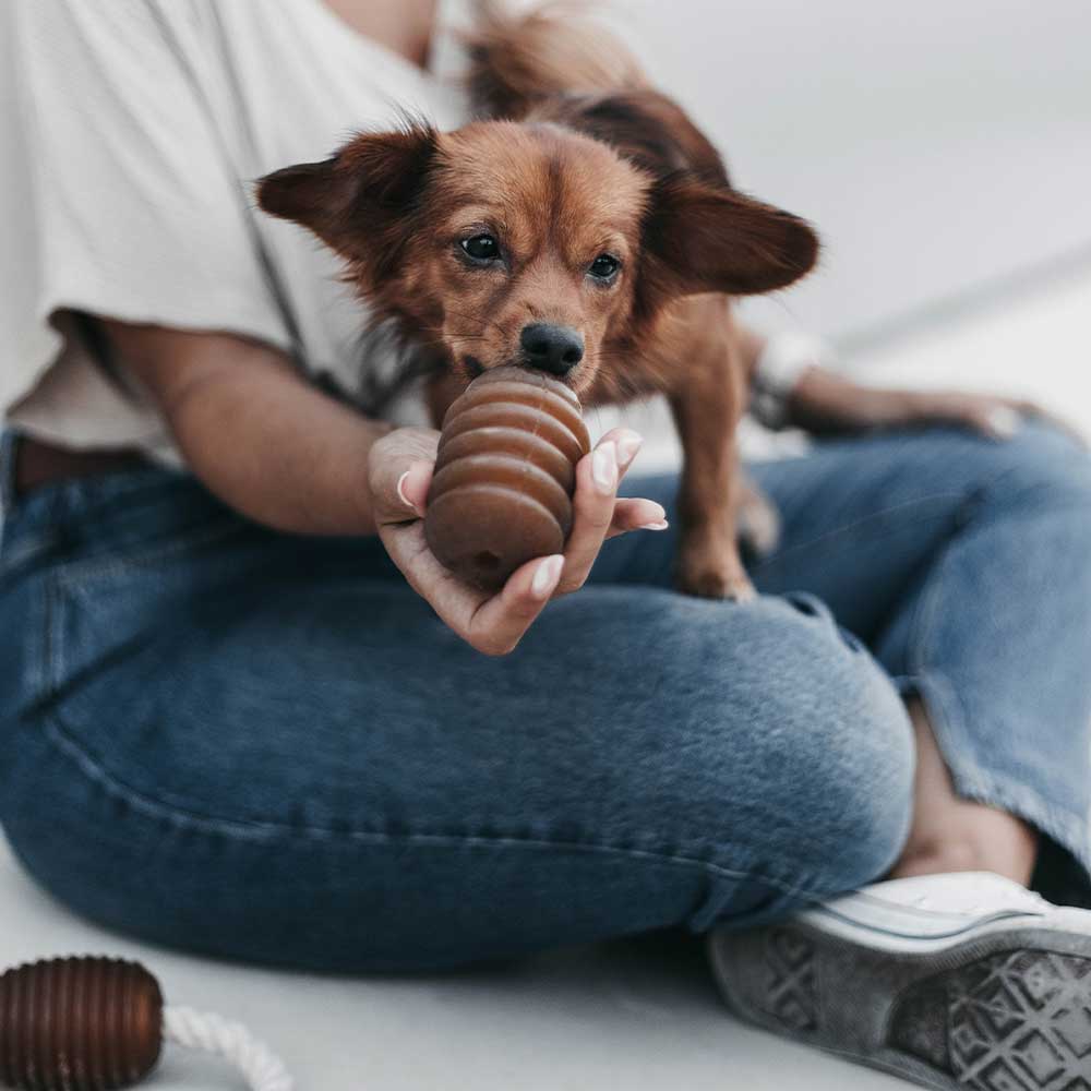 Jouet en résine à macher Jumpy Dmpty Small