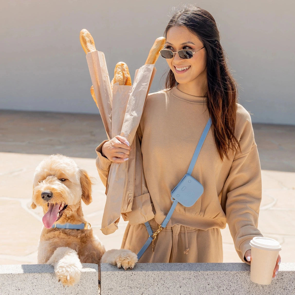 Laisse multi positions pour chiens Sunny Tails Bleu Clair