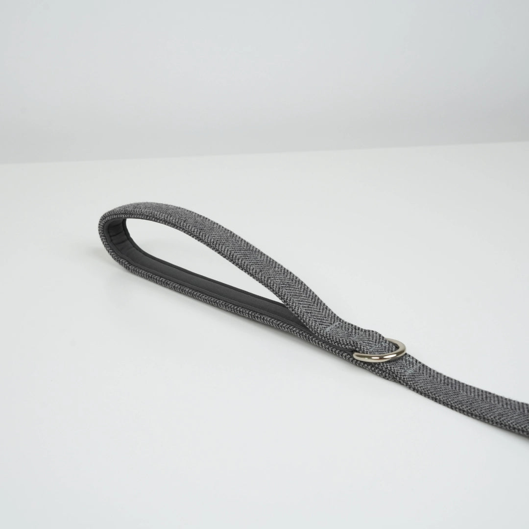 Laisse pour chiens Elma - Bleue