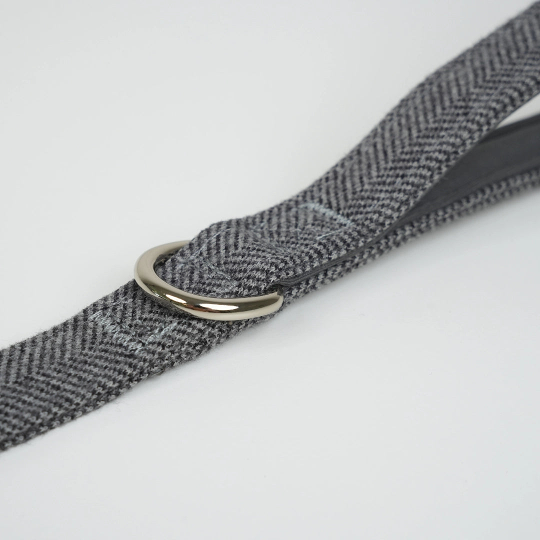 Laisse pour chiens Elma - Bleue