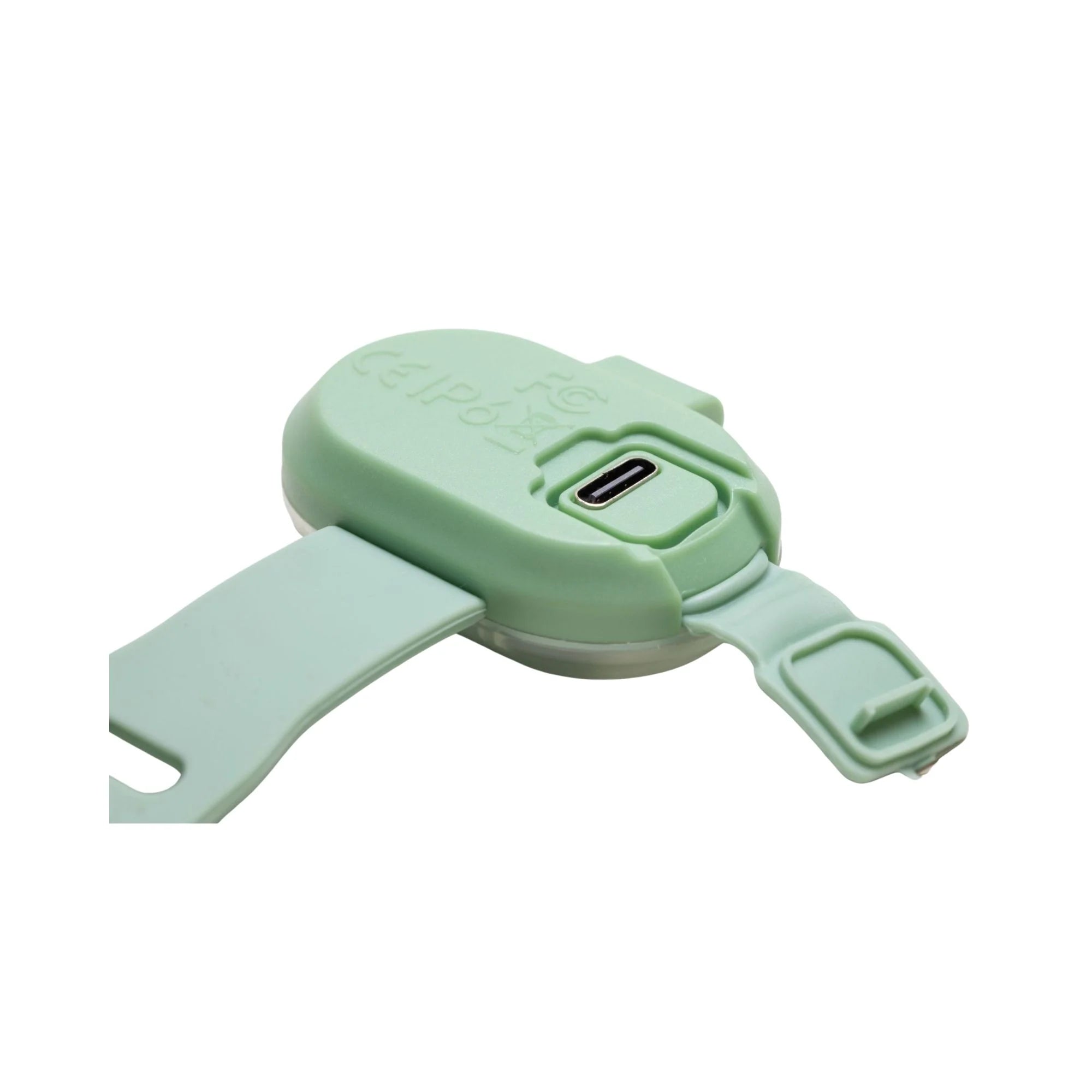 Lumière collier chien