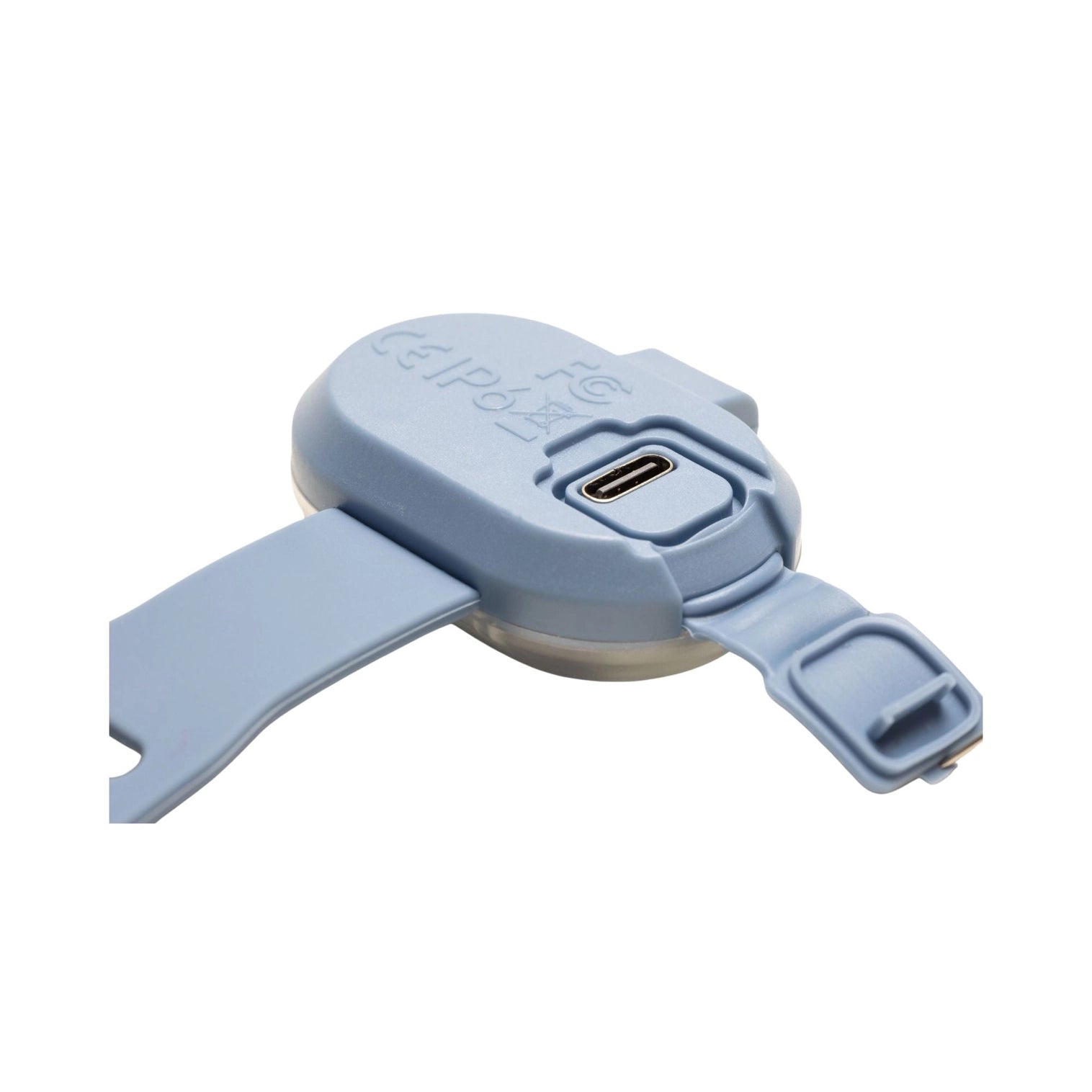 Collier lumineux pour chien