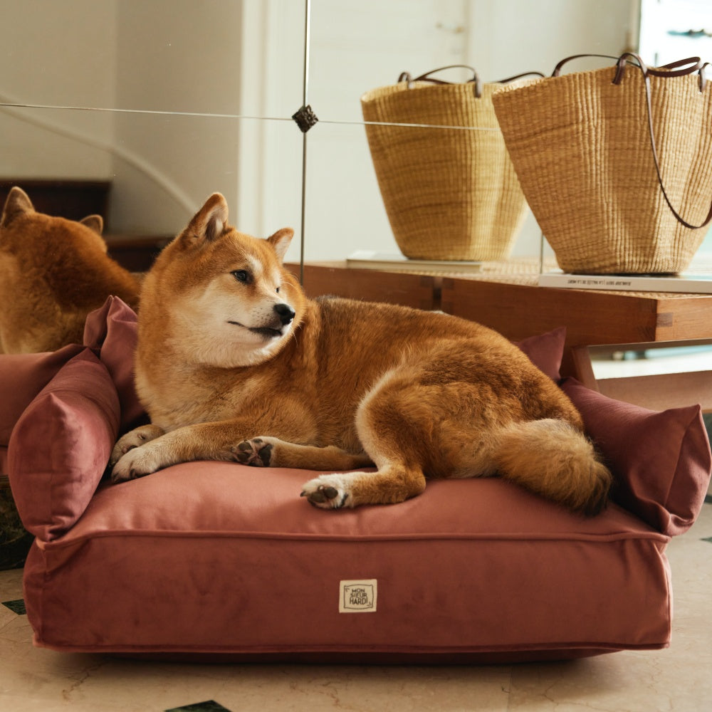 Canapé pour chien eurodif