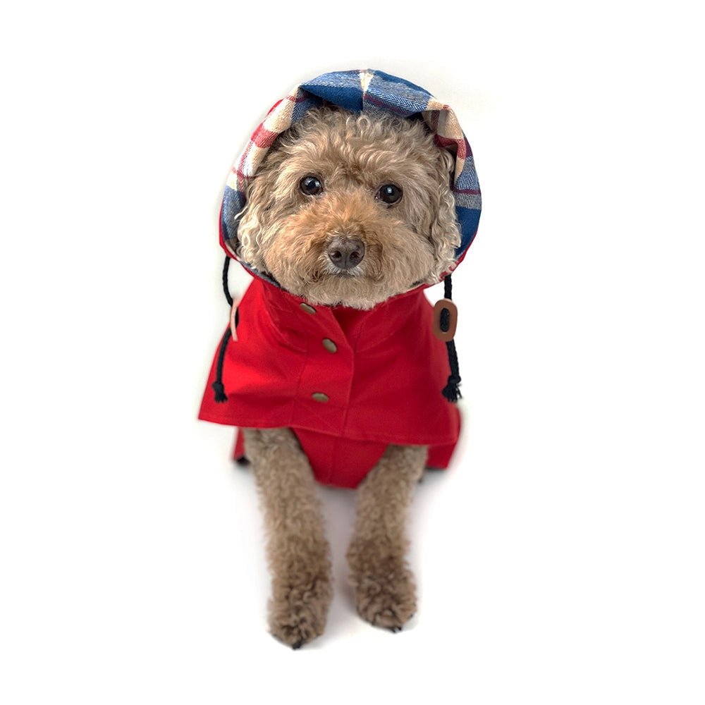 Poncho de pluie imperméable pour chiens 