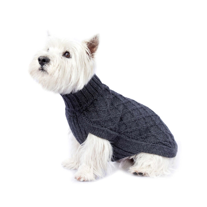 Pull pour chien en alpaga