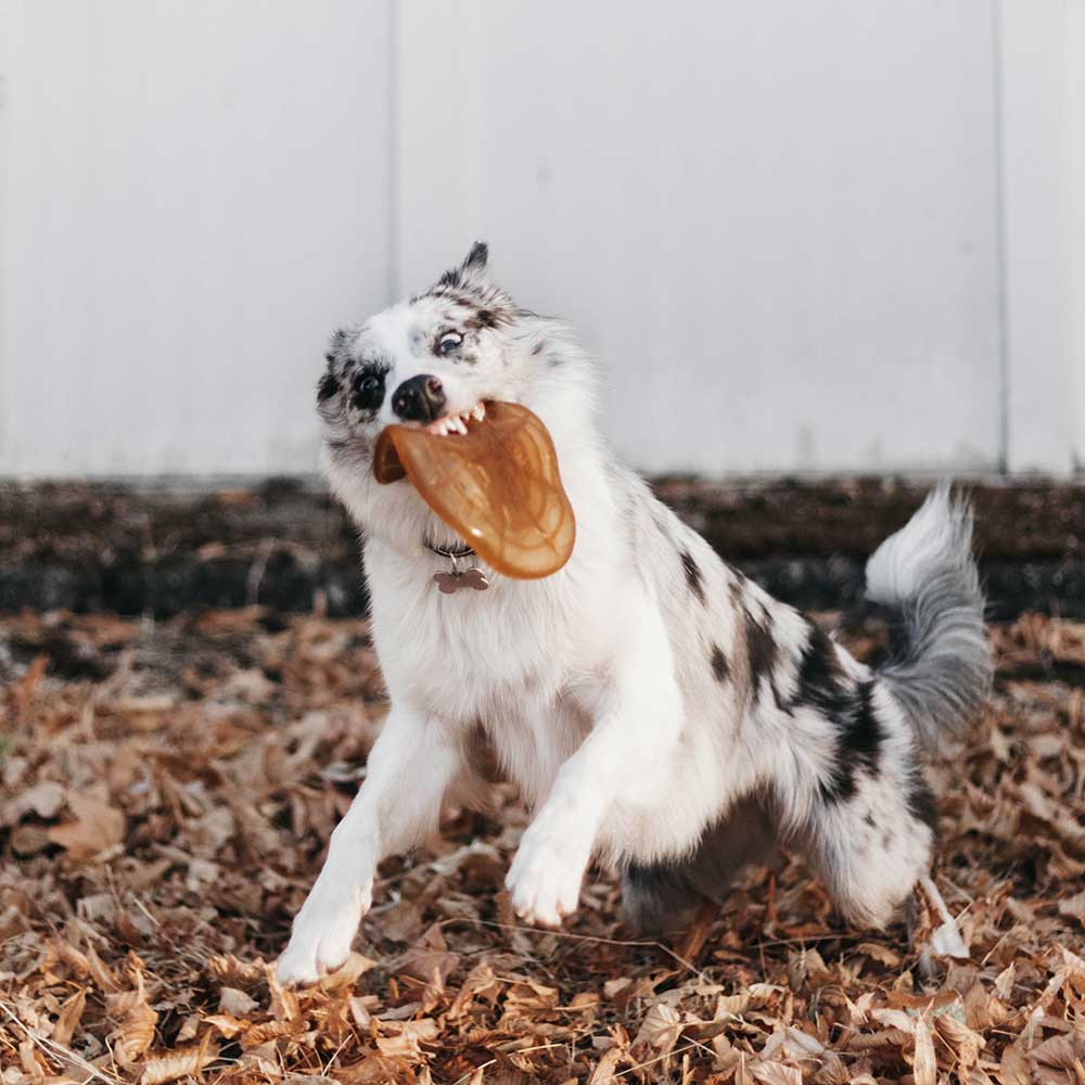 Jouet en résine à macher Air