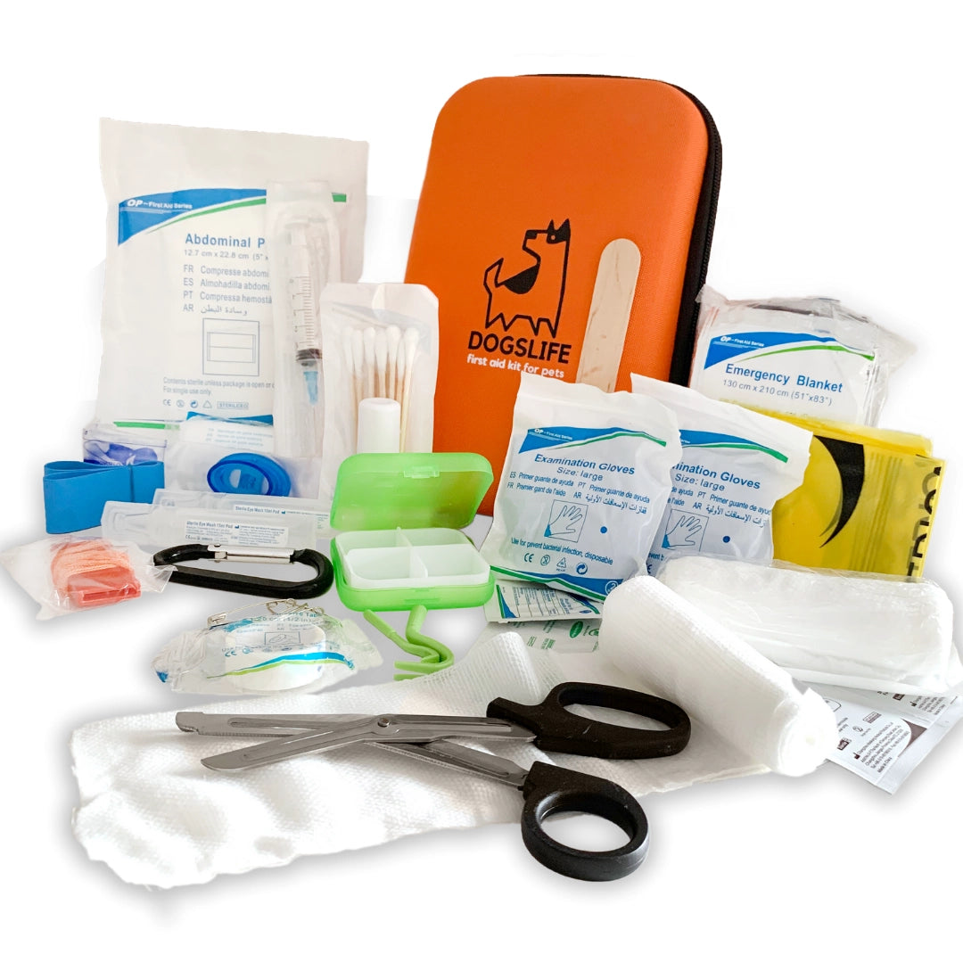 Trousse de premiers soins pour chiens