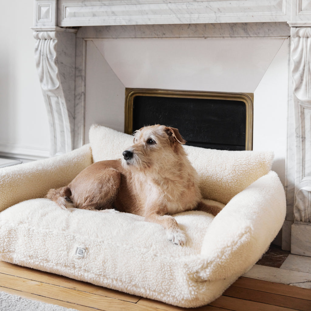 Canapé pour chien en Tissu de couleur Beige