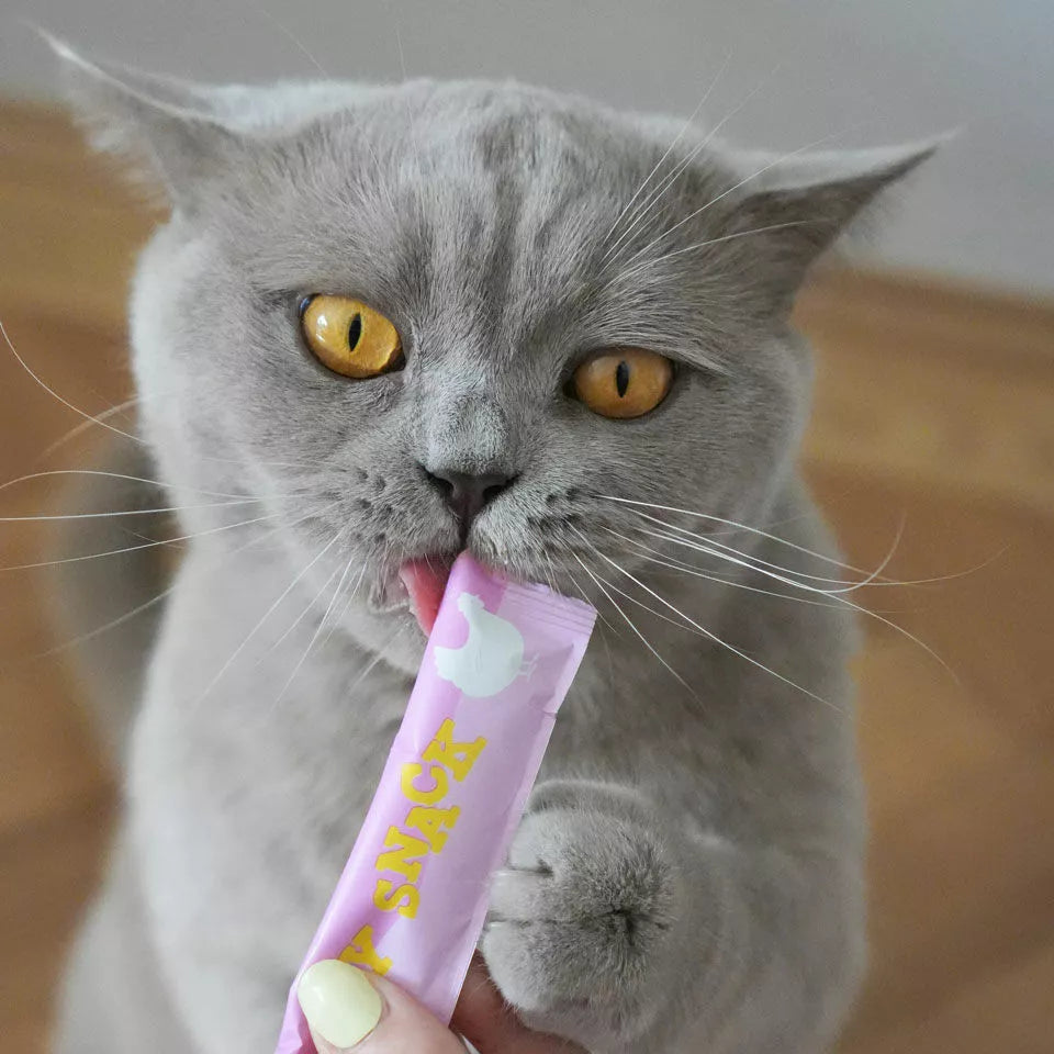 Creamy Snack au poulet pour chats