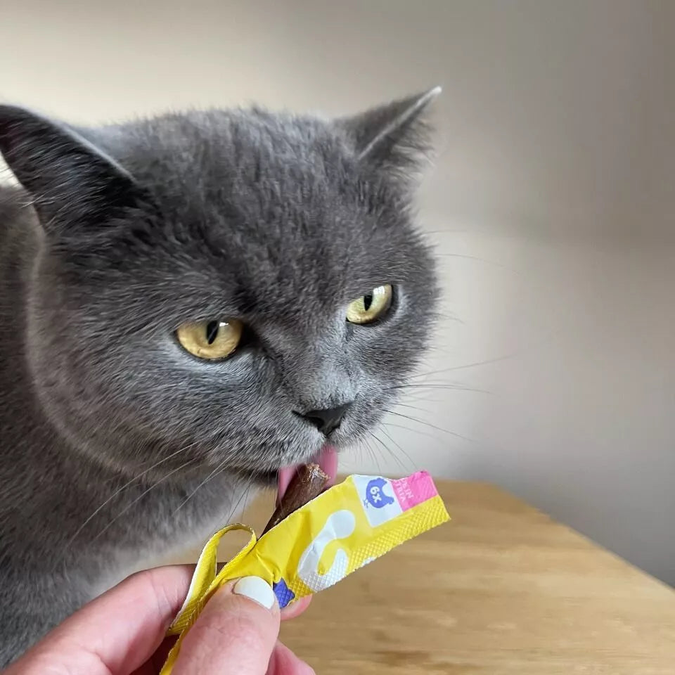 Soft Sticks au Poulet pour chats
