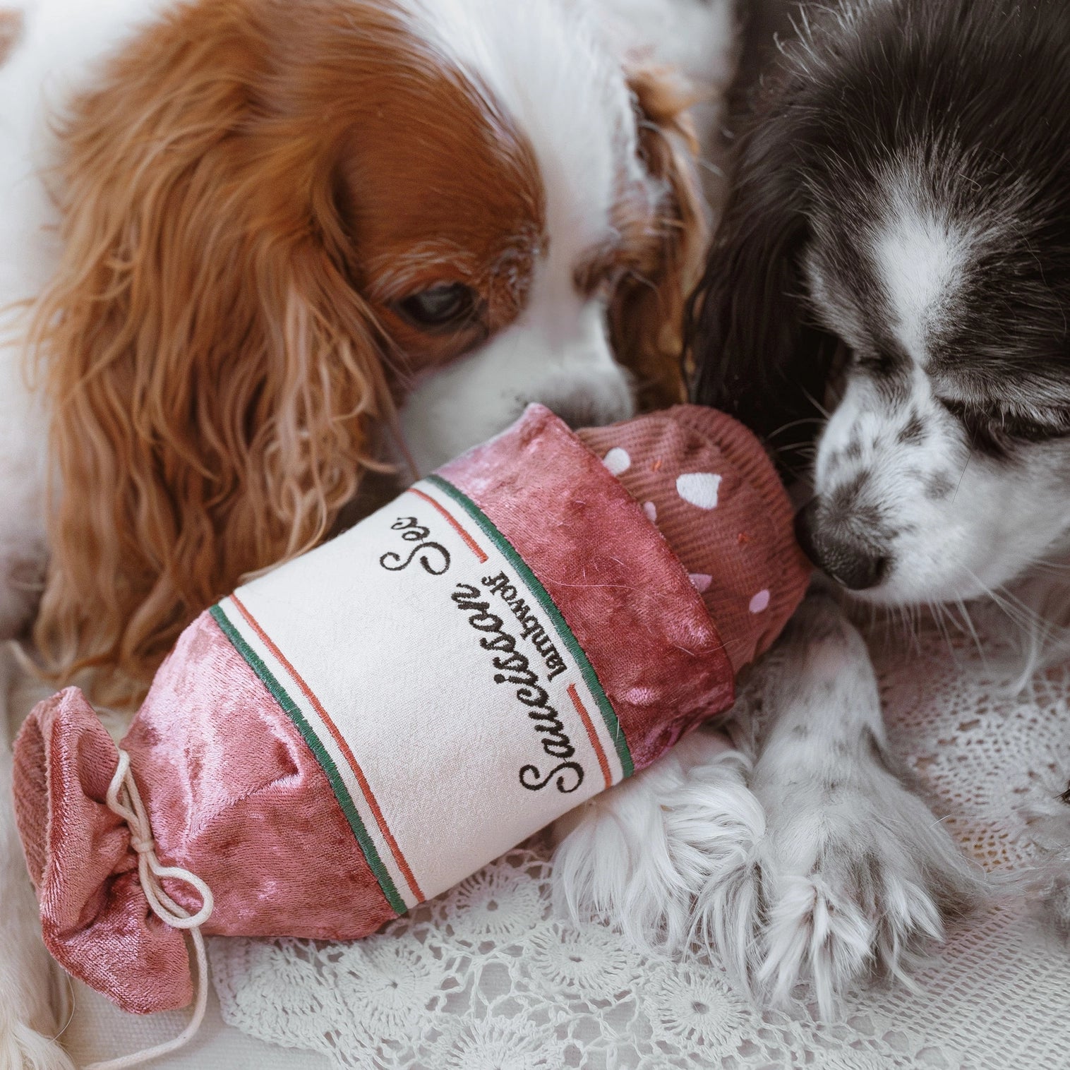 Saucisson de fouille pour chien lambwolf