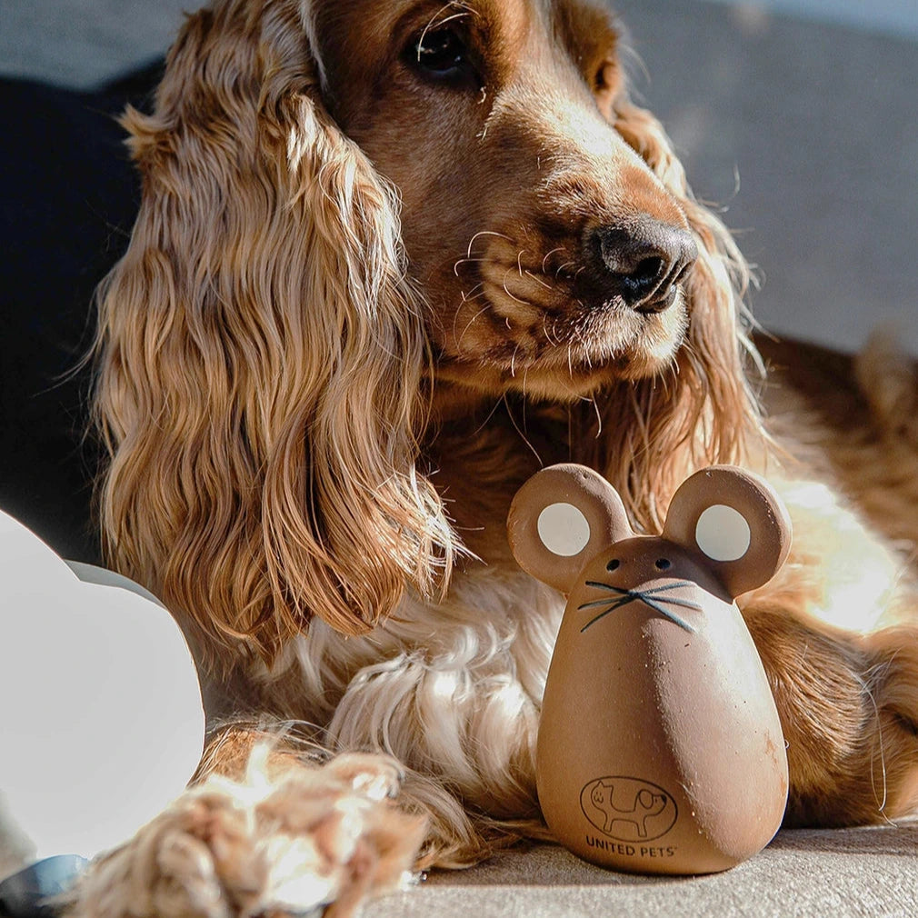 Jouet pour chien en latex pouic Souris