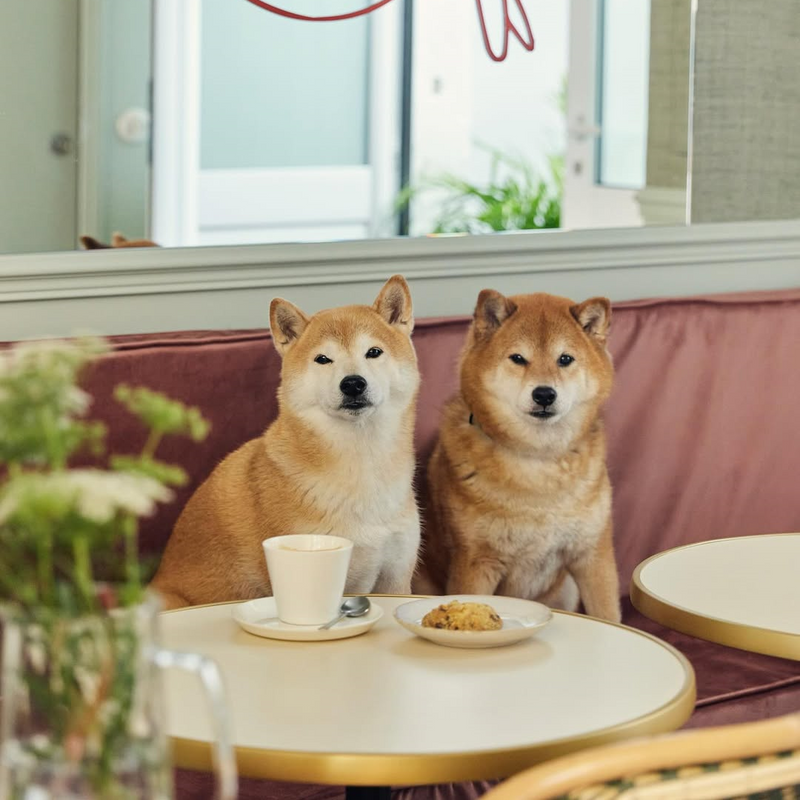 Notre café