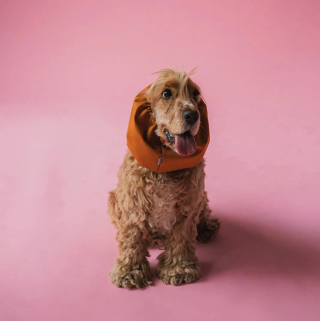 Snood imperméable Terracotta