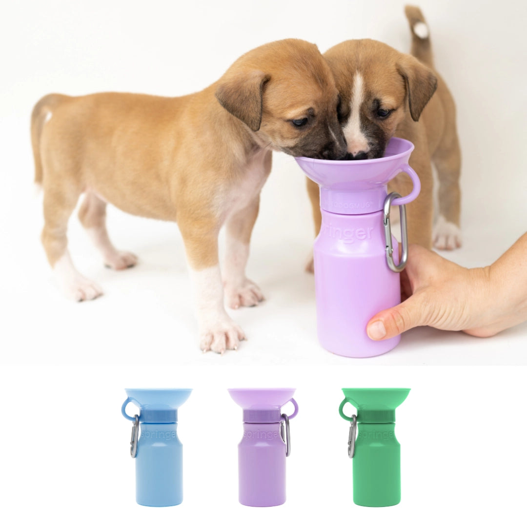 Gourde pour chien avec gamelle intégrée 44cl