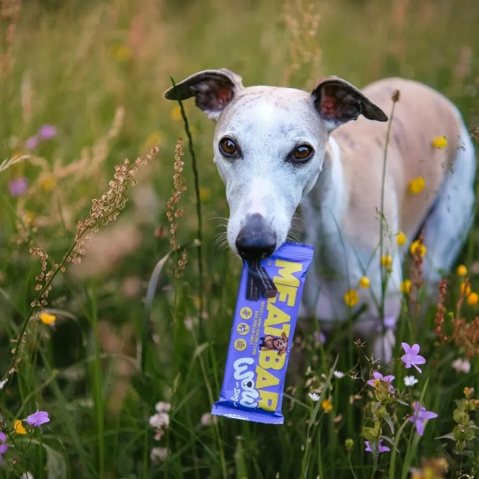 Barre protéinée Wow Dog Cerf et Agneau