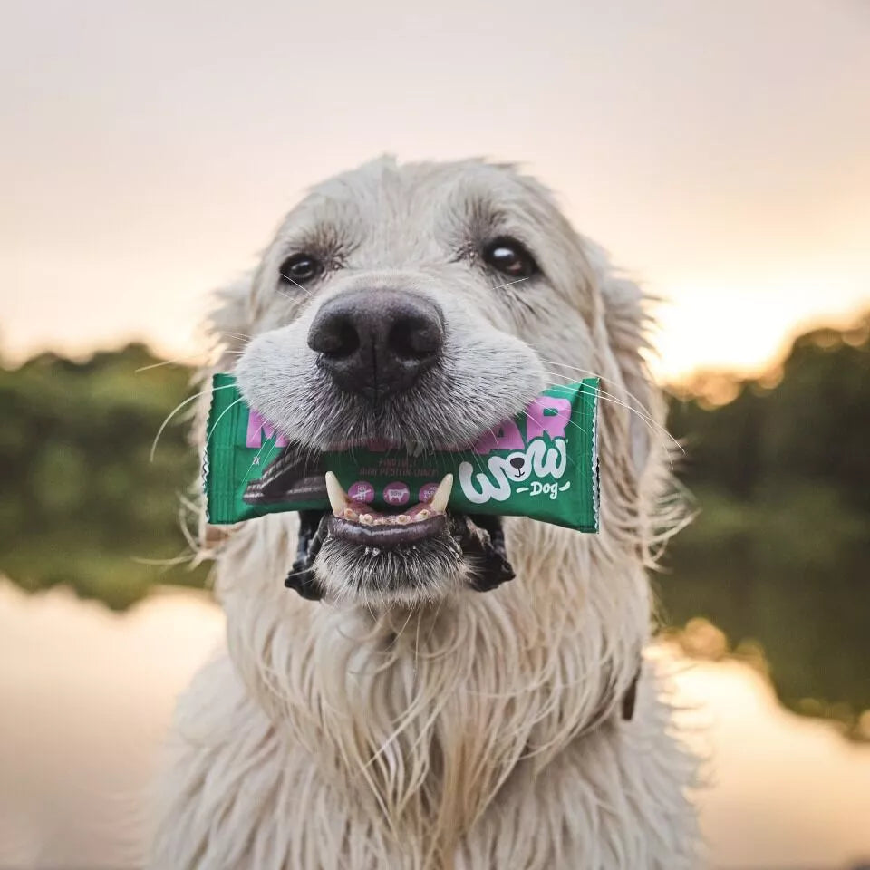 Barre protéinée Wow Dog Boeuf