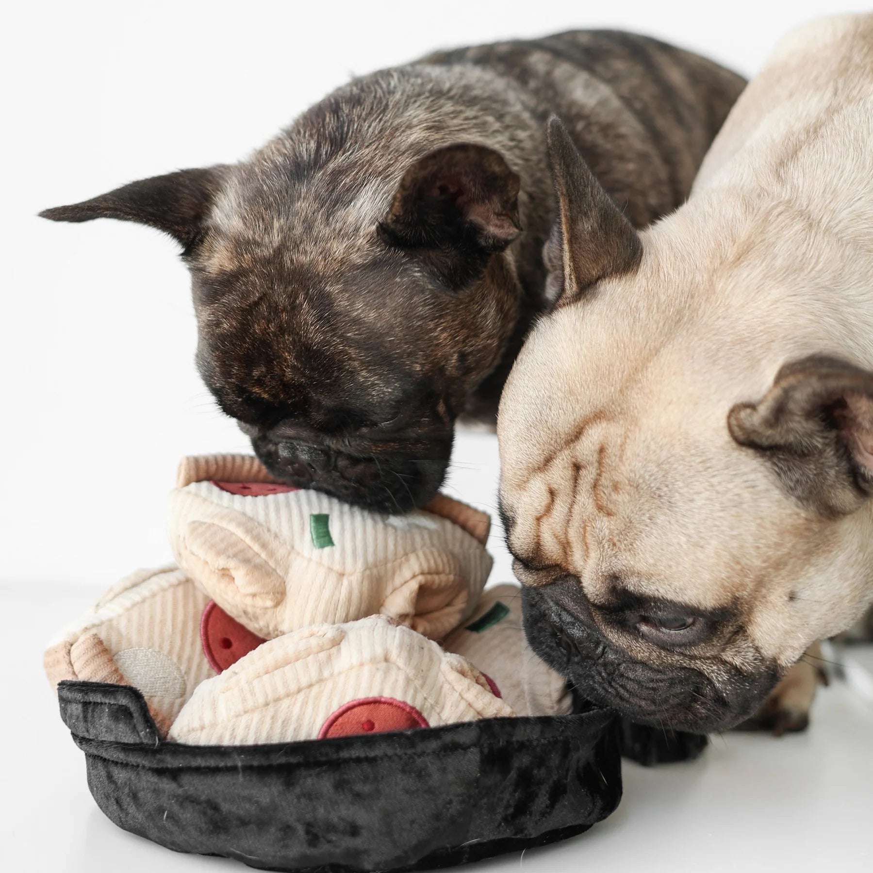 Jouet d'occupation pour chien